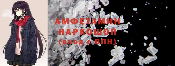 сатива Балахна