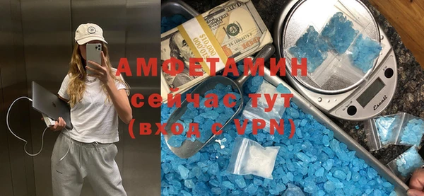 сатива Балахна