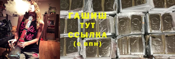 сатива Балахна