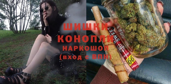 сатива Балахна